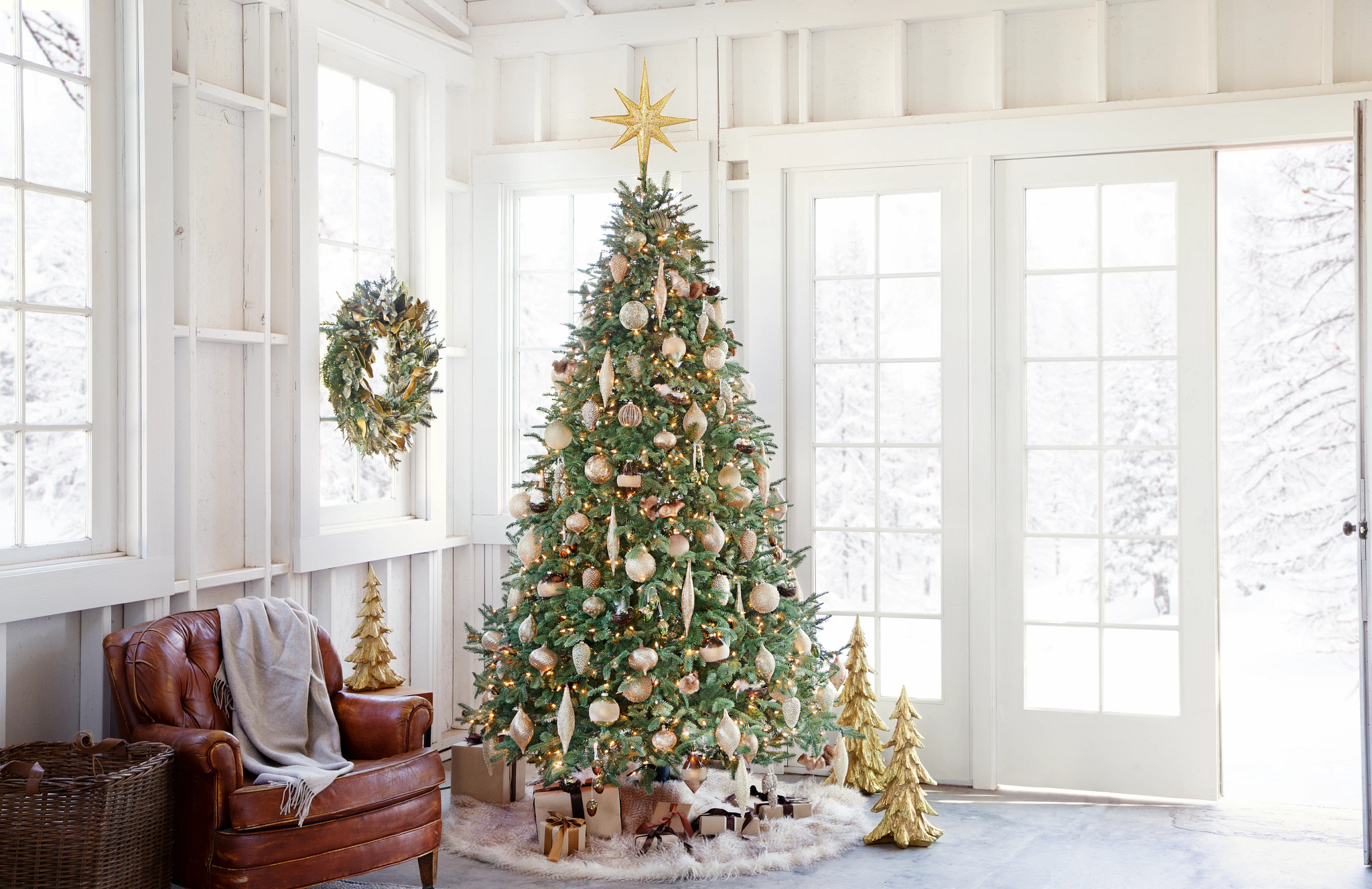 Northlight Sale Store -Northlight Sale Store 17 7 5ft BH Balsam Fir Grand Forest Ornament 2800864 4002889 TreeModule 0548 Edit