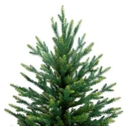 Northlight Real Touch™️ Two-Tone River Deer Pine Full Artificial Christmas Tree - 6.5' - Unlit -Northlight Sale Store GUEST 008edead 16d9 456b 80f8 a65abe2ef074