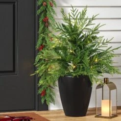 24" Pre-Lit Christmas Norfolk Cedar Artificial Greenery With Ground Stake - Wondershopâ˘