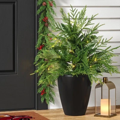 24" Pre-Lit Christmas Norfolk Cedar Artificial Greenery With Ground Stake - Wondershop™ 1 24" Pre-Lit Christmas Norfolk Cedar Artificial Greenery With Ground Stake - Wondershop™
