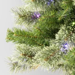 Pre-lit Slim Virginia Pine Artificial Christmas Tree Dual Color LED Lights - Wondershop™ 8 Pre-lit Slim Virginia Pine Artificial Christmas Tree Dual Color LED Lights - Wondershop™ -Northlight Sale Store GUEST 060a05ed 4873 4fd2 ae42 bc374beaa18c