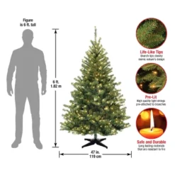 6' Unlit Kincaid Spruce Artificial Christmas Tree Clear Lights - National Tree Company 7 6' Unlit Kincaid Spruce Artificial Christmas Tree Clear Lights - National Tree Company -Northlight Sale Store GUEST 15db00e7 fec5 46ef 8f16 42d30df03d5b