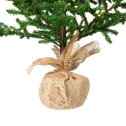 Northlight Pre-lit Christmas Tree With Pinecones And Burlap Base - 4' - Clear Lights -Northlight Sale Store GUEST 1e915514 b194 4cdb bc26 869597afcc8f