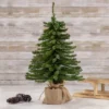 Northlight 1.5 FT Potted Downswept Mini Village Pine Medium Artificial Christmas Tree, Unlit