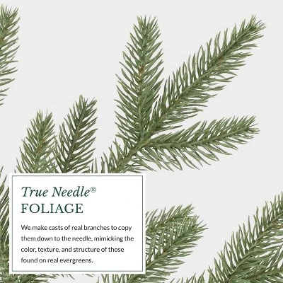 Balsam Hill 9' Clear LED Stratford Spruce Tree 7 Balsam Hill 9' Clear LED Stratford Spruce Tree - Image 7