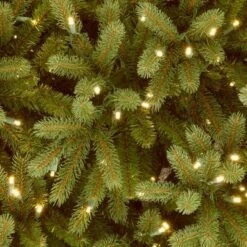 National Tree Company Pre-lit Jersey Frasier Fir Artificial Christmas Tree With Clear Lights 9 National Tree Company Pre-lit Jersey Frasier Fir Artificial Christmas Tree With Clear Lights -Northlight Sale Store GUEST 4ddea35a d1ef 4d6d a026 9827d4e4f94a