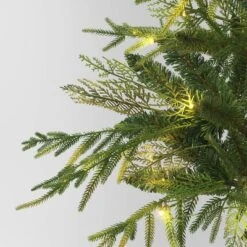 24" Pre-Lit Christmas Norfolk Cedar Artificial Greenery With Ground Stake - Wondershop™ 6 24" Pre-Lit Christmas Norfolk Cedar Artificial Greenery With Ground Stake - Wondershop™ -Northlight Sale Store GUEST 517b159a ab98 4251 ad4a 9a78c2d8852a