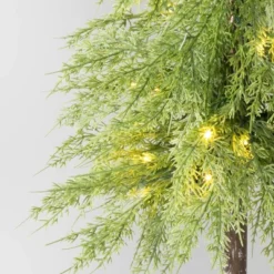 Pre-Lit Potted Balsam Artificial Christmas Tree - Wondershop™ 9 Pre-Lit Potted Balsam Artificial Christmas Tree - Wondershop™ -Northlight Sale Store GUEST 5d9ddf88 42c8 4d7d 88ad 8a538f9a5403