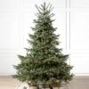 Balsam Hill 6.5' Clear LED European Fir Tree