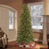 4.5ft Pre-lit Artificial Christmas Tree Fraser Fir - Puleo