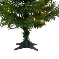 Northlight Pre-Lit Medium Royal Pine Artificial Christmas Tree - 2' - Clear Lights 10 Northlight Pre-Lit Medium Royal Pine Artificial Christmas Tree - 2' - Clear Lights -Northlight Sale Store GUEST 86e596a2 ed07 4425 8bac 3ee2a1453423
