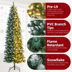 6ft/7.5ft/9ft/12ft Pre-Lit Pencil Christmas Tree With Dual-Color Lights, Slim Artificial Indoor Outdoor Xmas Tree For Home & Apartment 11 6ft/7.5ft/9ft/12ft Pre-Lit Pencil Christmas Tree With Dual-Color Lights, Slim Artificial Indoor Outdoor Xmas Tree For Home & Apartment -Northlight Sale Store GUEST 8d1084dd 65d4 4688 8dd0 bd157540fb41