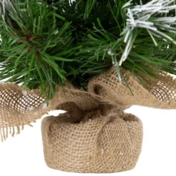 Northlight Whitecap Pine Artificial Mini Christmas Tree - 14" - Unlit 8 Northlight Whitecap Pine Artificial Mini Christmas Tree - 14" - Unlit -Northlight Sale Store GUEST 950f2d55 9601 456d b760 24ee8f0eab27