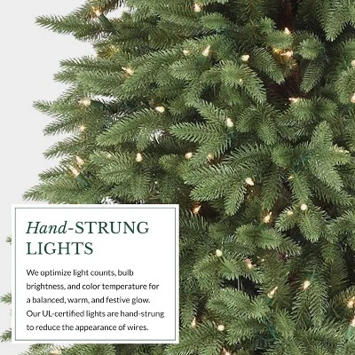 Balsam Hill 9' Clear LED Stratford Spruce Tree 8 Balsam Hill 9' Clear LED Stratford Spruce Tree - Image 8