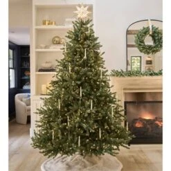 Balsam Hill 9' Color Clear LED Classic Blue Spruce Tree 13 Balsam Hill 9' Color Clear LED Classic Blue Spruce Tree -Northlight Sale Store GUEST a27bb65d 9c21 4218 be91 6f05533fb705