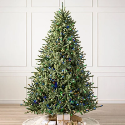 Balsam Hill 9' Color Clear LED Classic Blue Spruce Tree 1 Balsam Hill 9' Color Clear LED Classic Blue Spruce Tree