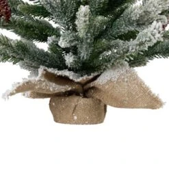 Northlight Real Touch™️ Potted Flocked Mini Fir Pine Artificial Christmas Tree - 25" - Unlit -Northlight Sale Store GUEST bee0af23 5949 4e9d 945c 1401993e1b06
