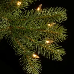 Prelit Slim Downswept Douglas Fir Artificial Christmas Tree Dual Color Lights - National Tree Company 9 Prelit Slim Downswept Douglas Fir Artificial Christmas Tree Dual Color Lights - National Tree Company -Northlight Sale Store GUEST c7d34985 2c67 4a30 b7dc db4382962ee1
