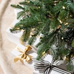 Balsam Hill 6.5' Clear LED European Fir Tree 7 Balsam Hill 6.5' Clear LED European Fir Tree -Northlight Sale Store GUEST c876626c b5cc 4eef bfe8 a048e7351736