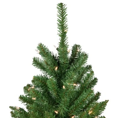 Northlight Pre-Lit Pencil White River Fir Artificial Christmas Tree - 6.5' - Clear Lights 3 Northlight Pre-Lit Pencil White River Fir Artificial Christmas Tree - 6.5' - Clear Lights - Image 3