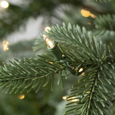Balsam Hill 9' Clear LED European Fir Tree 4 Balsam Hill 9' Clear LED European Fir Tree - Image 4