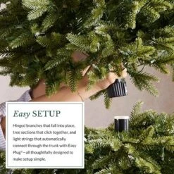 Balsam Hill 9' Color Clear LED Classic Blue Spruce Tree 15 Balsam Hill 9' Color Clear LED Classic Blue Spruce Tree -Northlight Sale Store GUEST ccee2219 1249 482c bf7b f83badfb3346