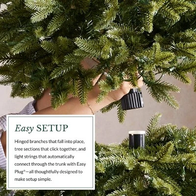 Balsam Hill 9' Color Clear LED Classic Blue Spruce Tree 7 Balsam Hill 9' Color Clear LED Classic Blue Spruce Tree - Image 7