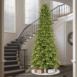 12ft Pre-lit Full Artificial Christmas Tree Forest Fir - Puleo 5 12ft Pre-lit Full Artificial Christmas Tree Forest Fir - Puleo -Northlight Sale Store GUEST d0e13292 f24d 4229 b310 bffab20d72bc