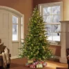 7.5ft Pre-Lit Full Berkshire Fir Artificial Christmas Tree - Puleo