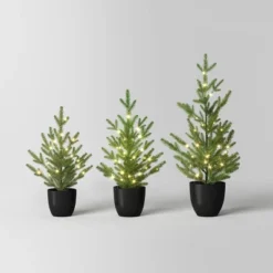 Pre-lit Potted Balsam Fir Mini Artificial Christmas Tree Set Warm White Lights - Wondershop™ 10 Pre-lit Potted Balsam Fir Mini Artificial Christmas Tree Set Warm White Lights - Wondershop™ -Northlight Sale Store GUEST dace8258 2c82 4bf0 9dbe c83373b16bdf